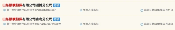 山东银联担保老赖名单_山东银联担保被执行人公告_中鸿联合融资担保有限公司 失信被执行人