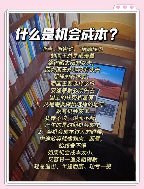 机会成本的计算 - 武汉理工大学管理学院朱俊相关探讨