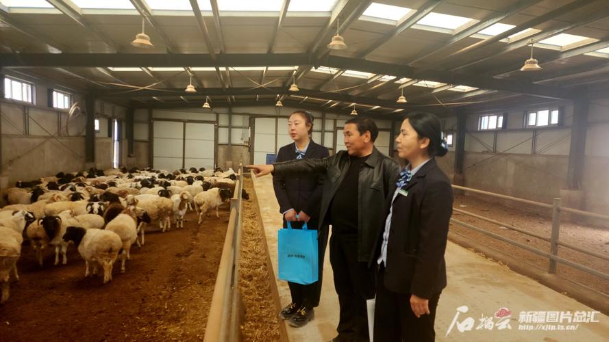 邮储银行战疫担当：授信超1500亿、放贷500亿，助力复工复产春耕