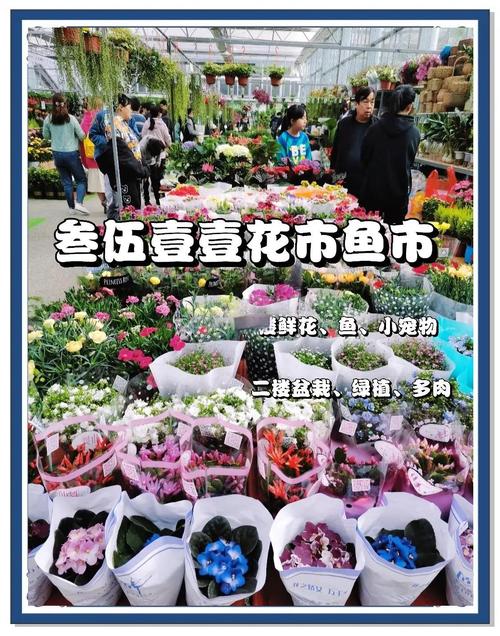 2017零元生意致富指南：花卉培植与旅游休闲，低成本创业新机遇