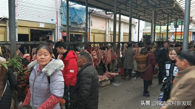 农村蔬菜中介_农村水果中介_小投资赚钱项目 农村 低成本