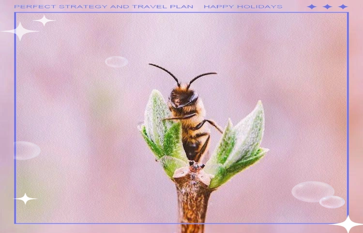 兴业银行APP转账延迟原因大揭秘，这些情况需注意