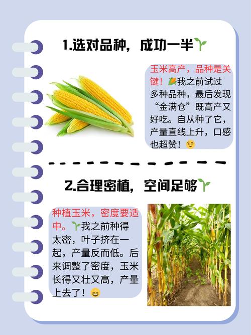 白手起家零元创业项目_玉米套种半枝莲经济效益_过去零元干加盟赚钱