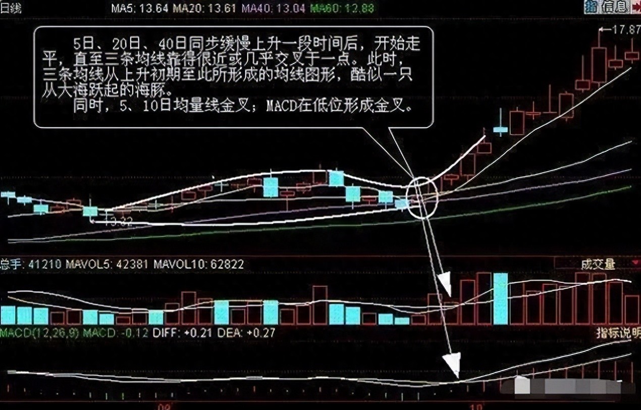 牛股特点及海豚嘴形态解析，还有这些技术要点要知道