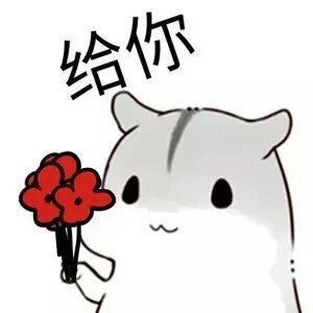 中信银行信用卡提额技巧_信用卡使用提额技巧_冷冻法提额攻略