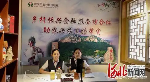 企业支付宝农村信用社_ 河北农信 数字化转型 金融服务 _河北农村信用社 乡村振兴 金融政策 