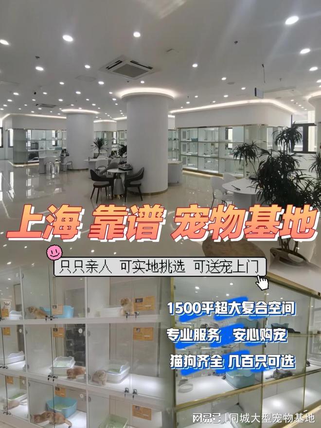 选购纯种健康宠物遇难题？上海来福乐猫犬舍帮您解决