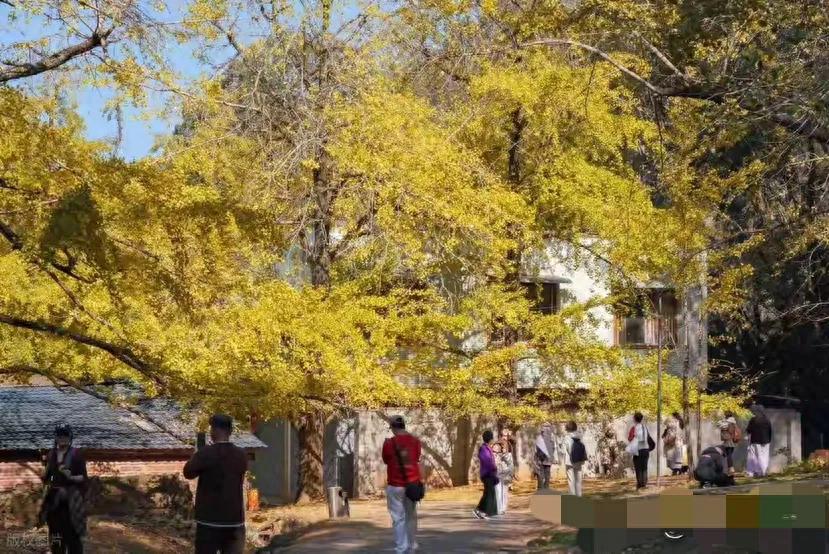 负债逾期莫慌！这 4 个官方号码助你维权协商，告别逾期危机