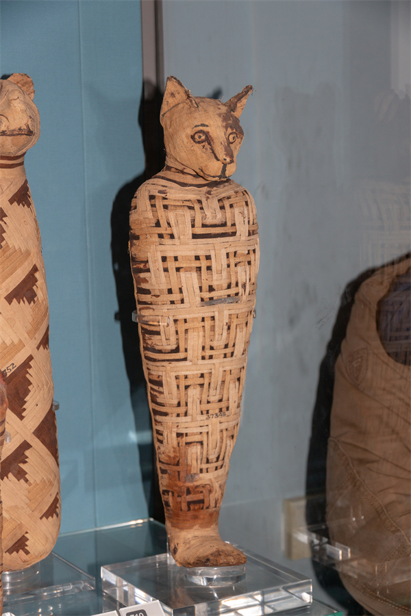 古埃及猫壁画_古埃及猫文化_埃及猫可以带回中国吗