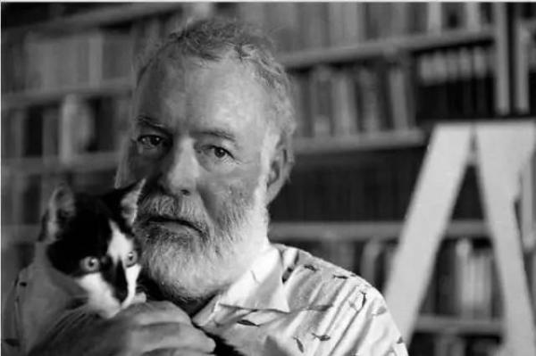 古代猫咪文化_埃及猫可以带回中国吗_鲁迅不喜欢猫