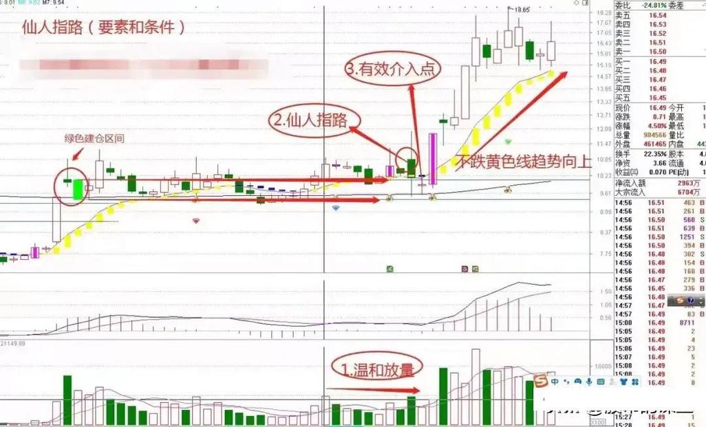 波段操作_短线是银 下载_长期持有