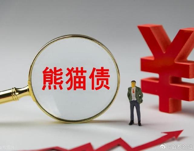 一季度熊猫债发行规模大增，多重因素助推持续提质扩容