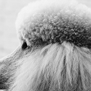 香港公司抖音开店闭店交税_内地人去香港开店流程_香港公司税务登记